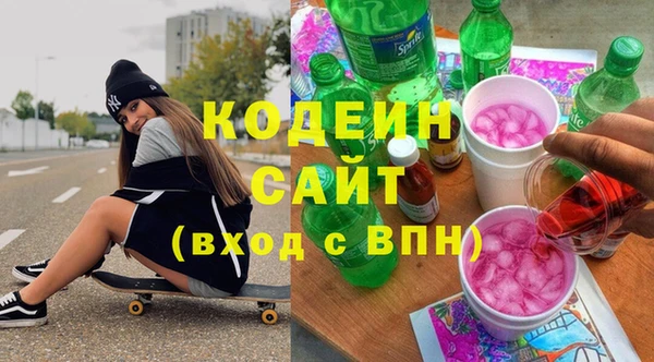apvp Бородино