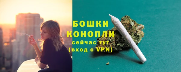 apvp Бородино