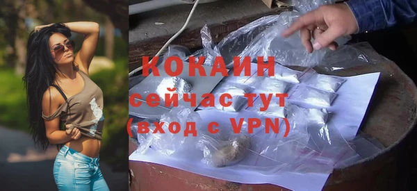 apvp Бородино