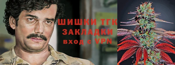 тгк Беломорск