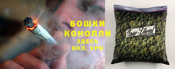 apvp Бородино