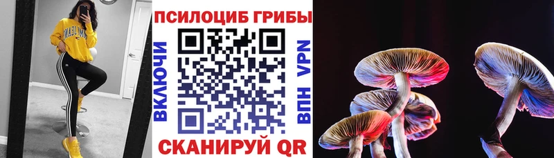 Псилоцибиновые грибы MAGIC MUSHROOMS  Волоколамск 